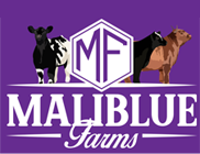 Maliblue Farms